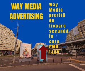 Way Advertise Production SRL, Antoanela Vasilescu și controversa publicității outdoor fără avize
